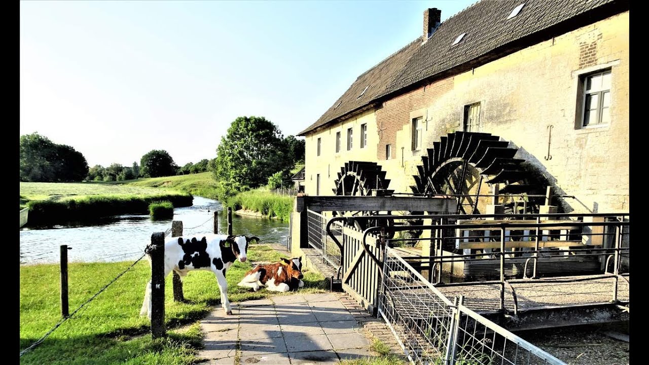 GEUL, JIJ BENT ZO MOOI !