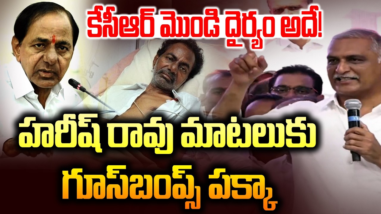 కేసీఆర్ బర్త్డే రోజు హరీష్ రావుకి గూస్ బంప్స్ పక్కా.. | Harish Rao Power Full Speech About KCR | NLT