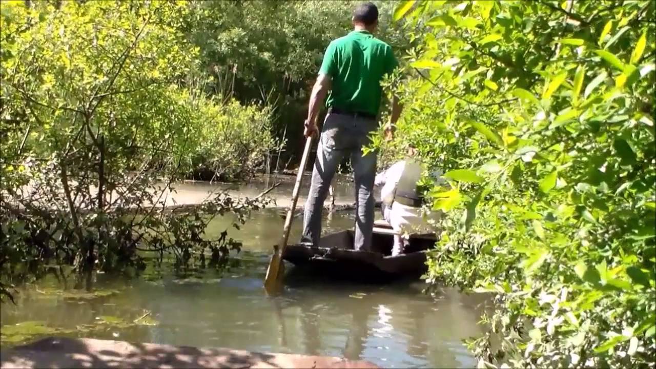Jungle rhénane en barque et encas gastronomique