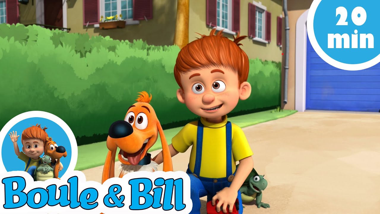 🐕 Boule et Bill aident les chats aussi 🐈- Nouvelle compilation Boule et Bill FR