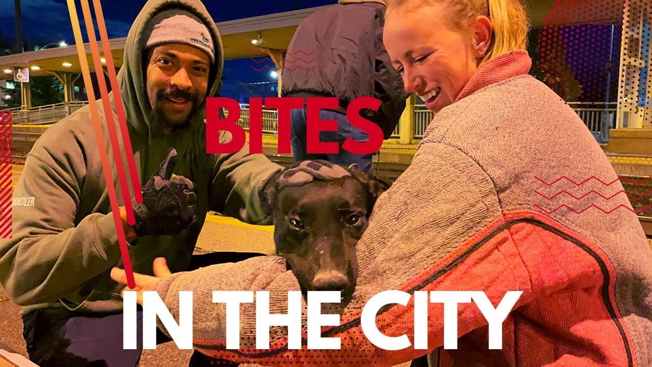 Bite Work Downtown Toronto Anyone?