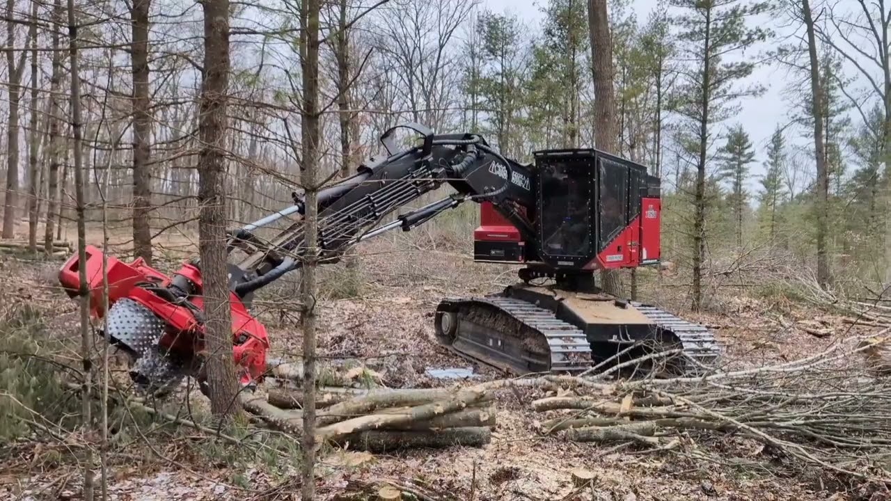 TimberPro TL735D with Skidmore CF-24 cutting hardwood