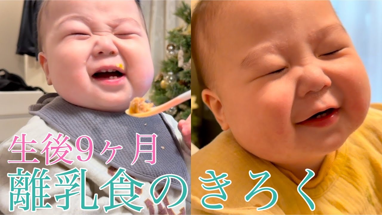 【SechuRadio】りとの離乳食🎃【9ヶ月】