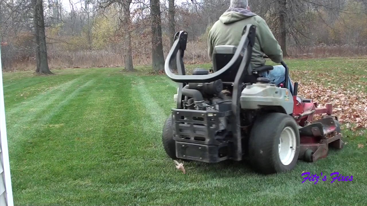 Leaf cleanup