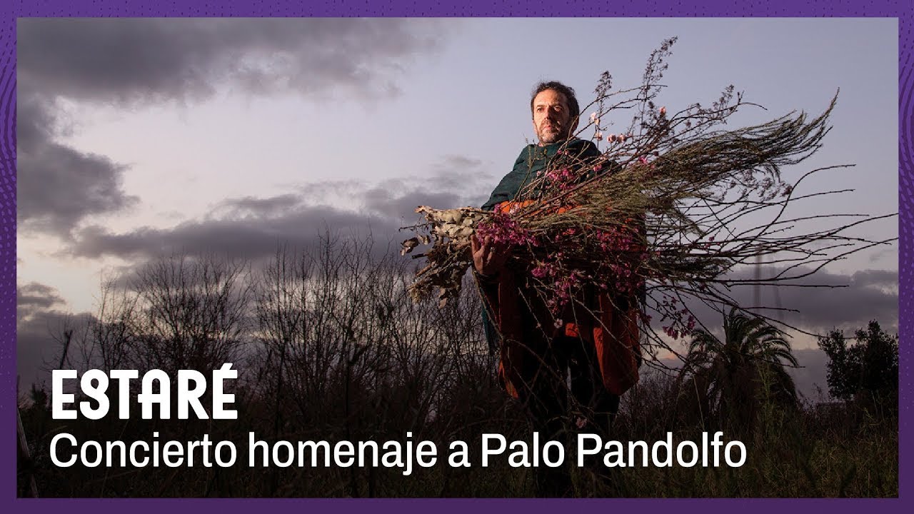 Estaré | Concierto homenaje a Palo Pandolfo