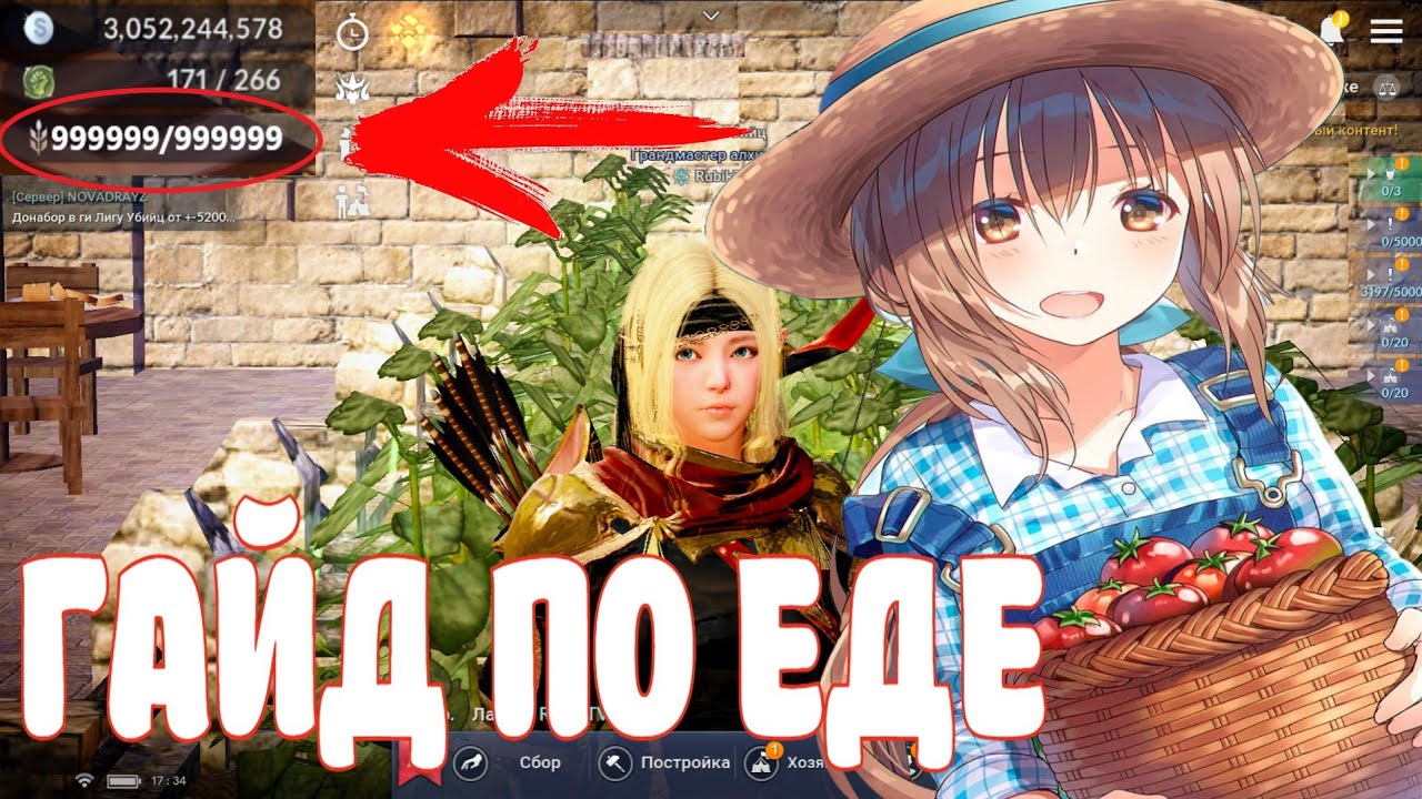 🍖 ГАЙД ПО ЕДЕ 🍖 / НЕ ХВАТАЕТ ЕДЫ? / КАК ЭФФЕКТИВНЕЕ / ТОП 3 СПОСОБА ФАРМА ЕДЫ / Black Desert Mobile