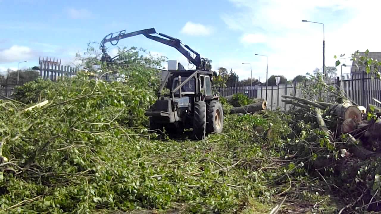 Poplar site clearance - video 1