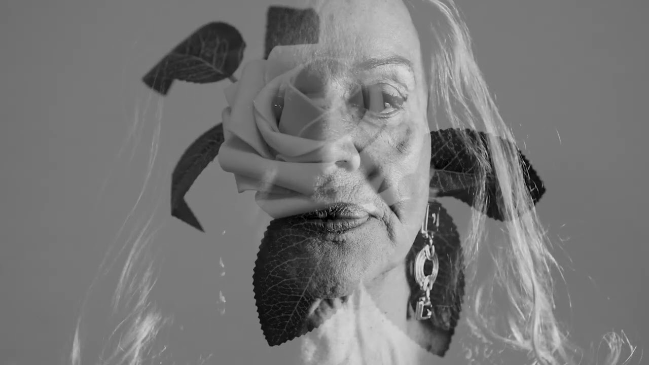 La memòria de les roses | Elche