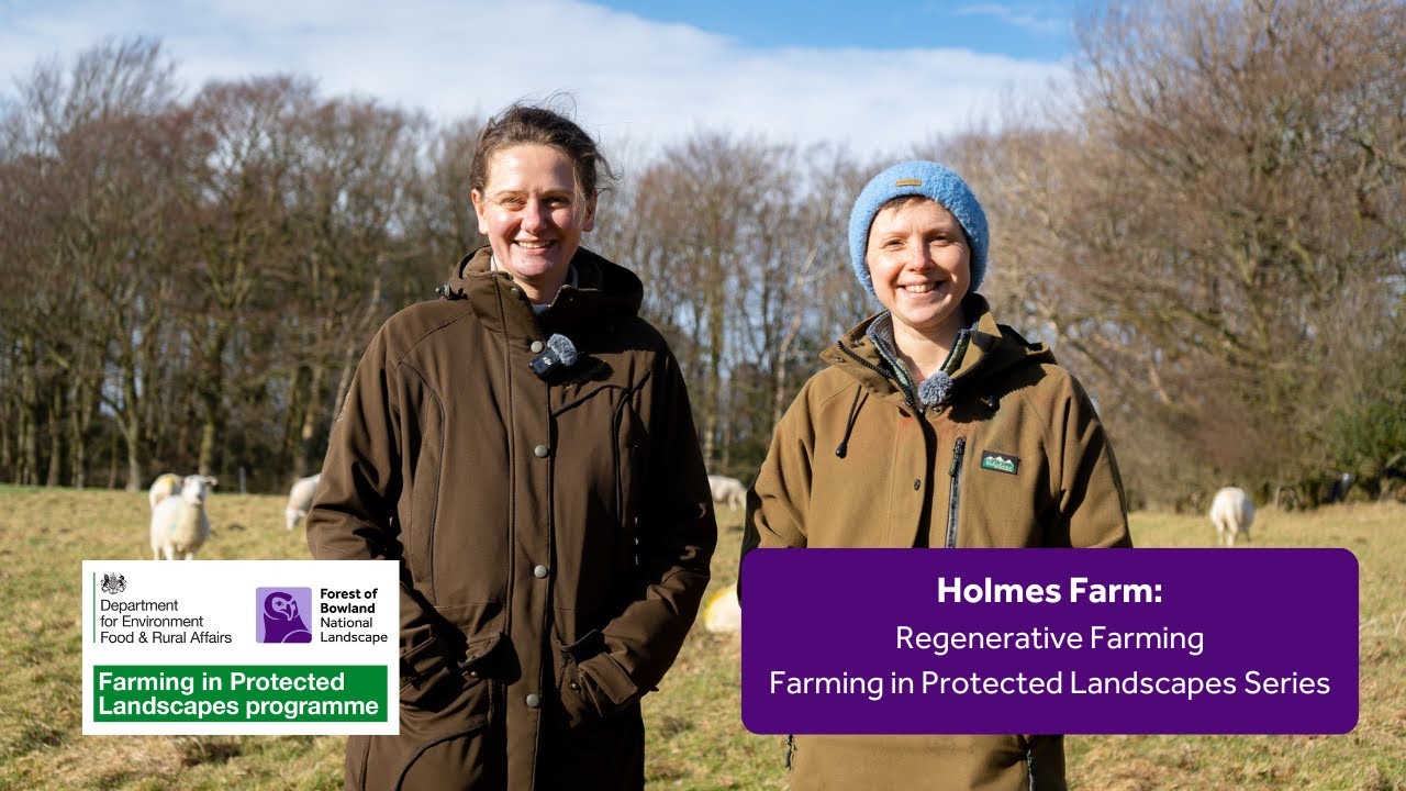 Regenerative Farming in the Forest of Bowland || Part 3 || Holmes Farm