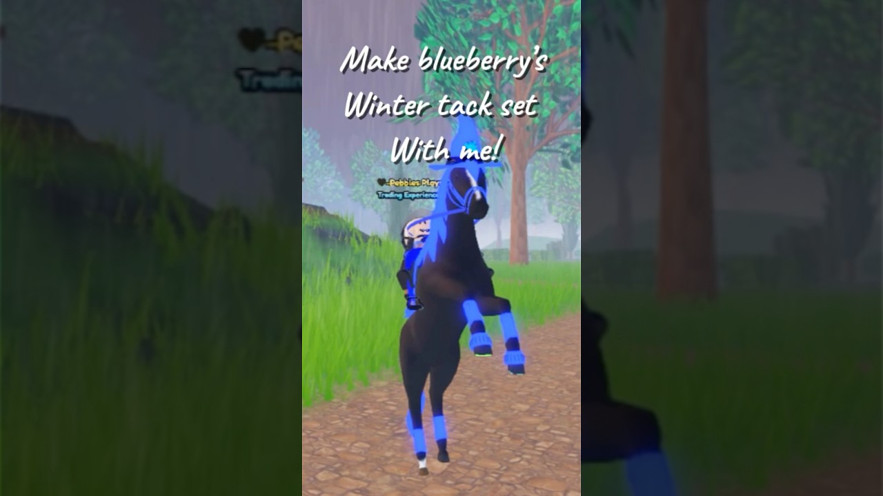Make blueberry&rsquo;s winter tack set with me! | Pebbles Plays | #roblox #wildhorseislands #christmas