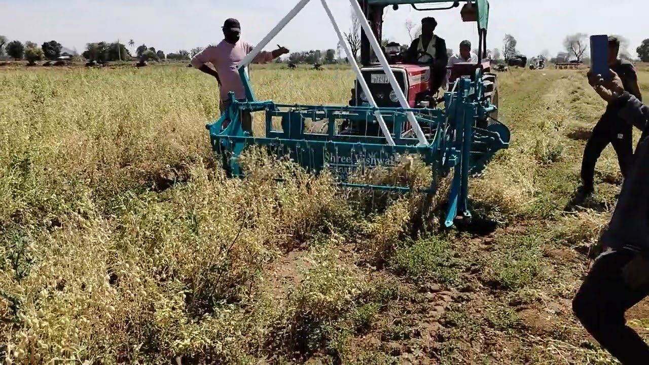 Chana Cutting (चना काटने की मशीन) 8140003809