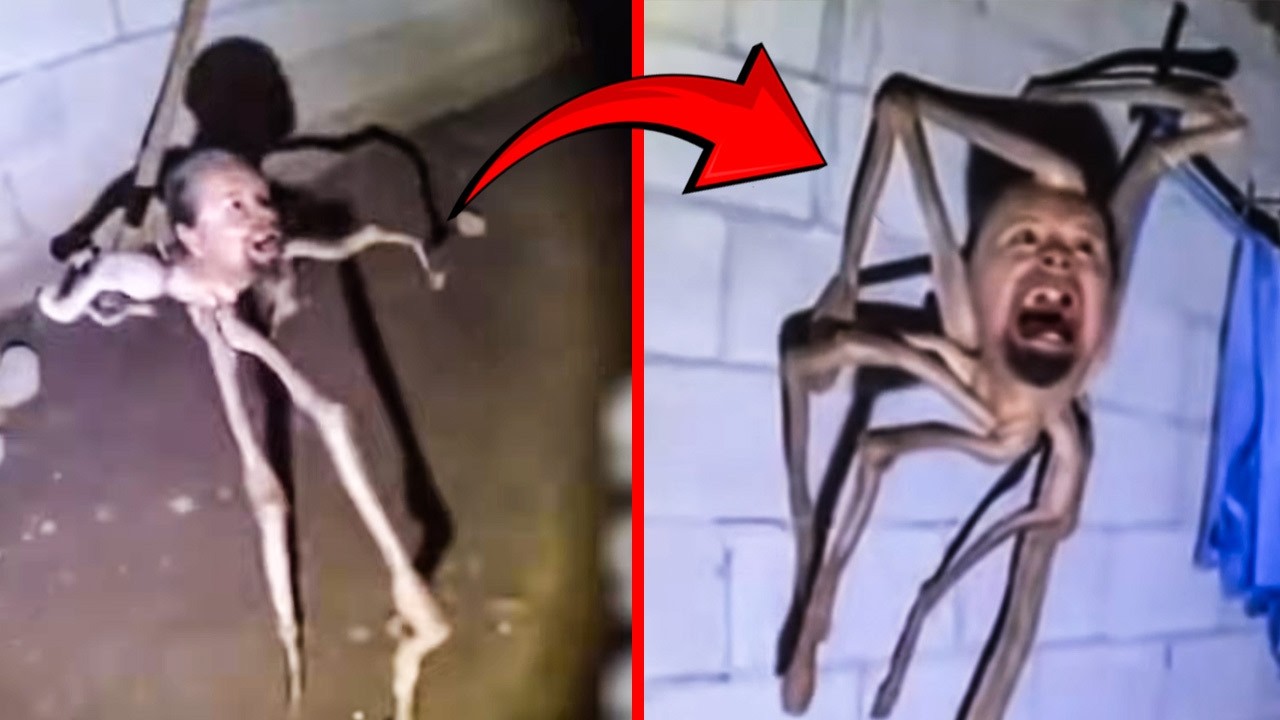 This Creature Defies Explanation | The Most Disturbing Footage Ever Captured