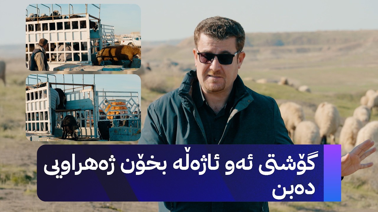 ئاژەڵی قاچاغ؛ مەترسیی ئاژەڵی قاچا‌غ و گۆشتی ئاژەڵی دەرەوە