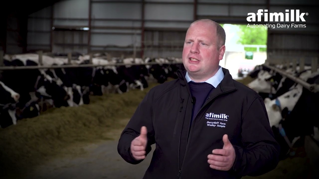 Meet Wesley Semple, Dairy Farmer in Northern Ireland