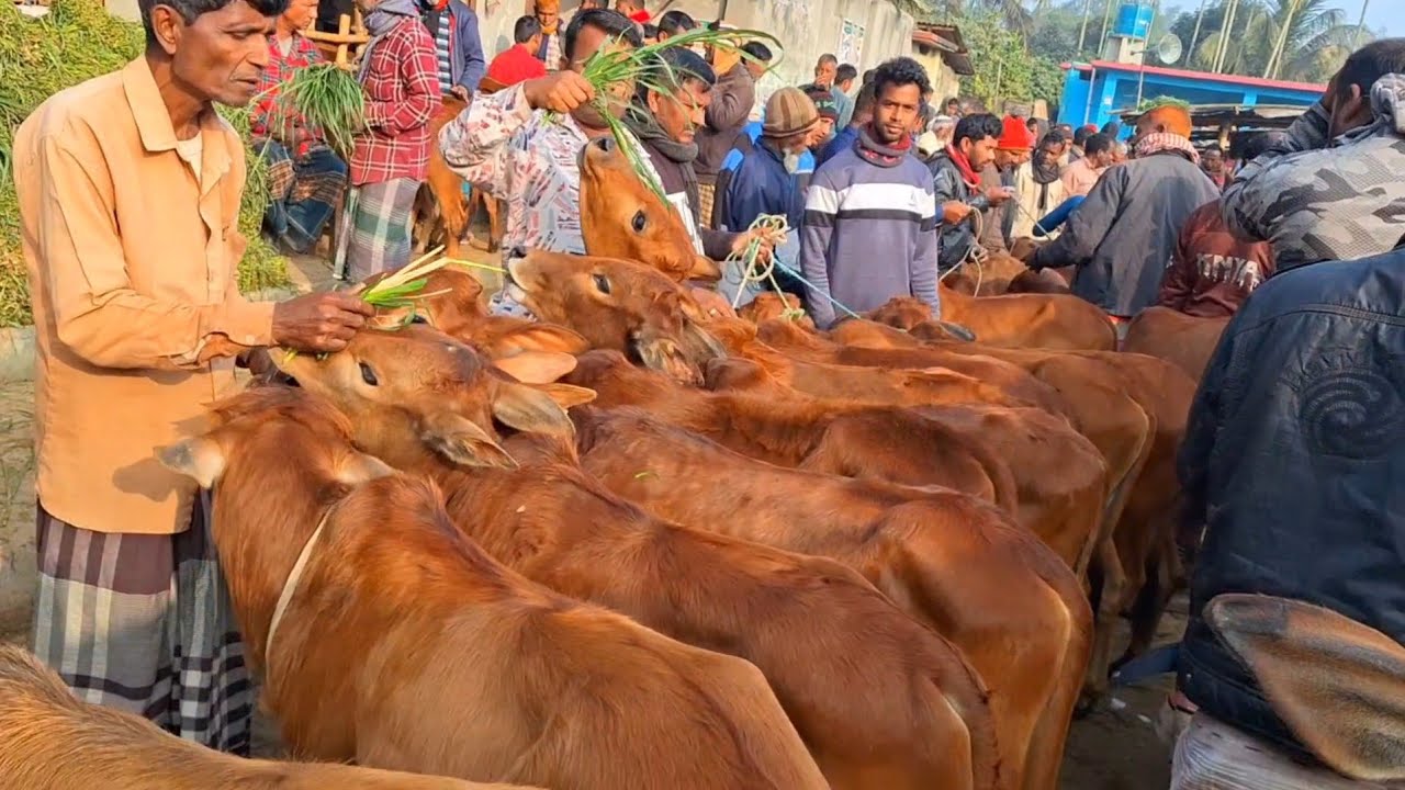 @আজ ৩০ জানুয়ারি