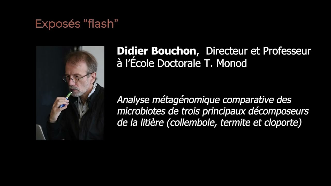 [FLASH⚡] Analyse métagénomique comparative des microbiotes de 3 décomposeurs de litière - D. Bouchon