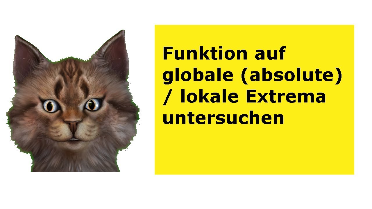 Wie kann man eine Funktion auf globale (absolute) und lokale Extrema untersuchen?