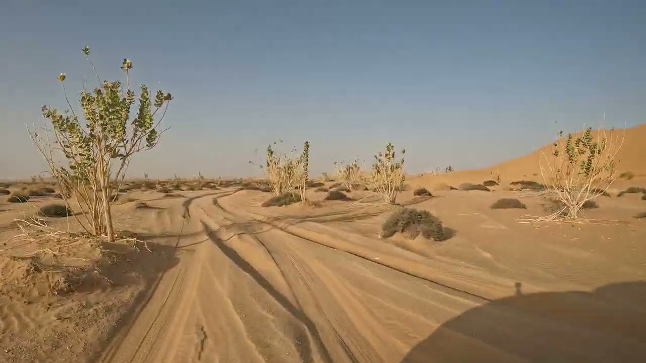 Oman - The Empty Quarter Desert - RUB AL KHALI