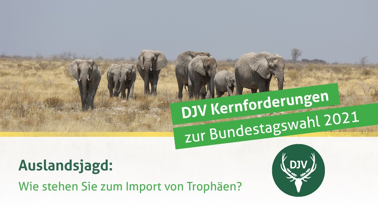 Bundestagswahl 2021 | Politikerstimmen zur Auslandsjagd