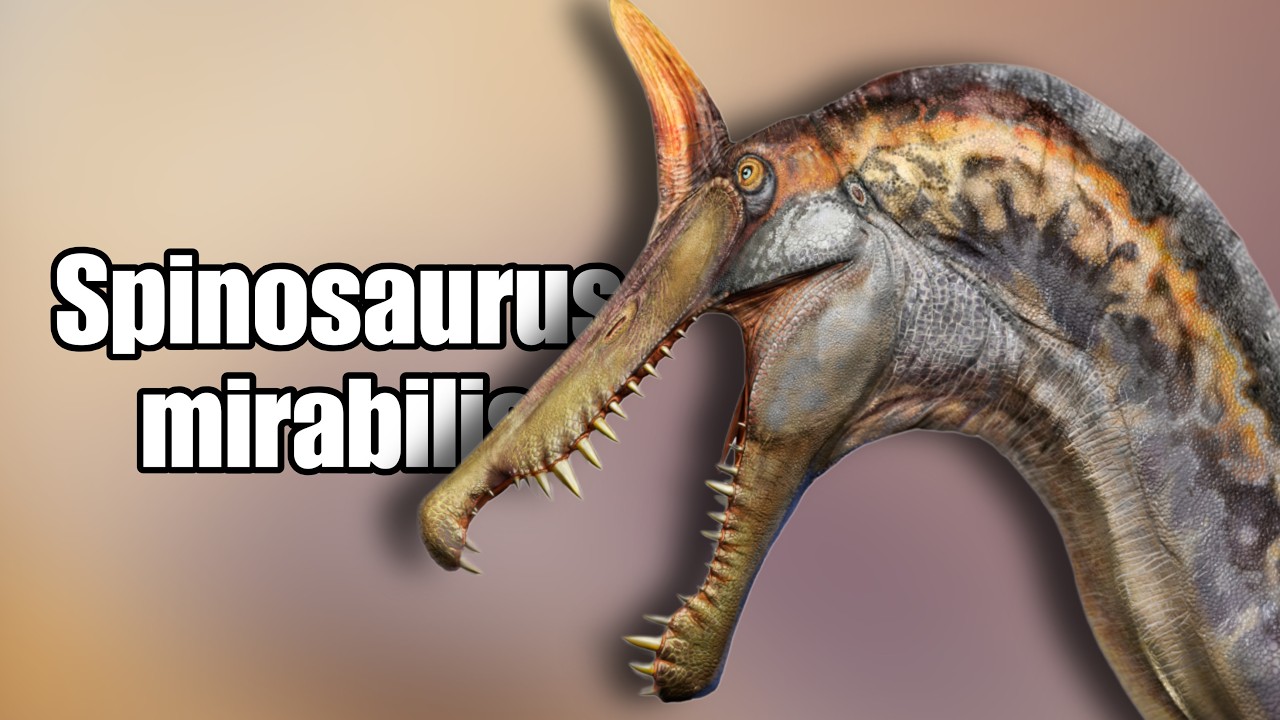 A NEW Spinosaurus Species has Been Discovered!