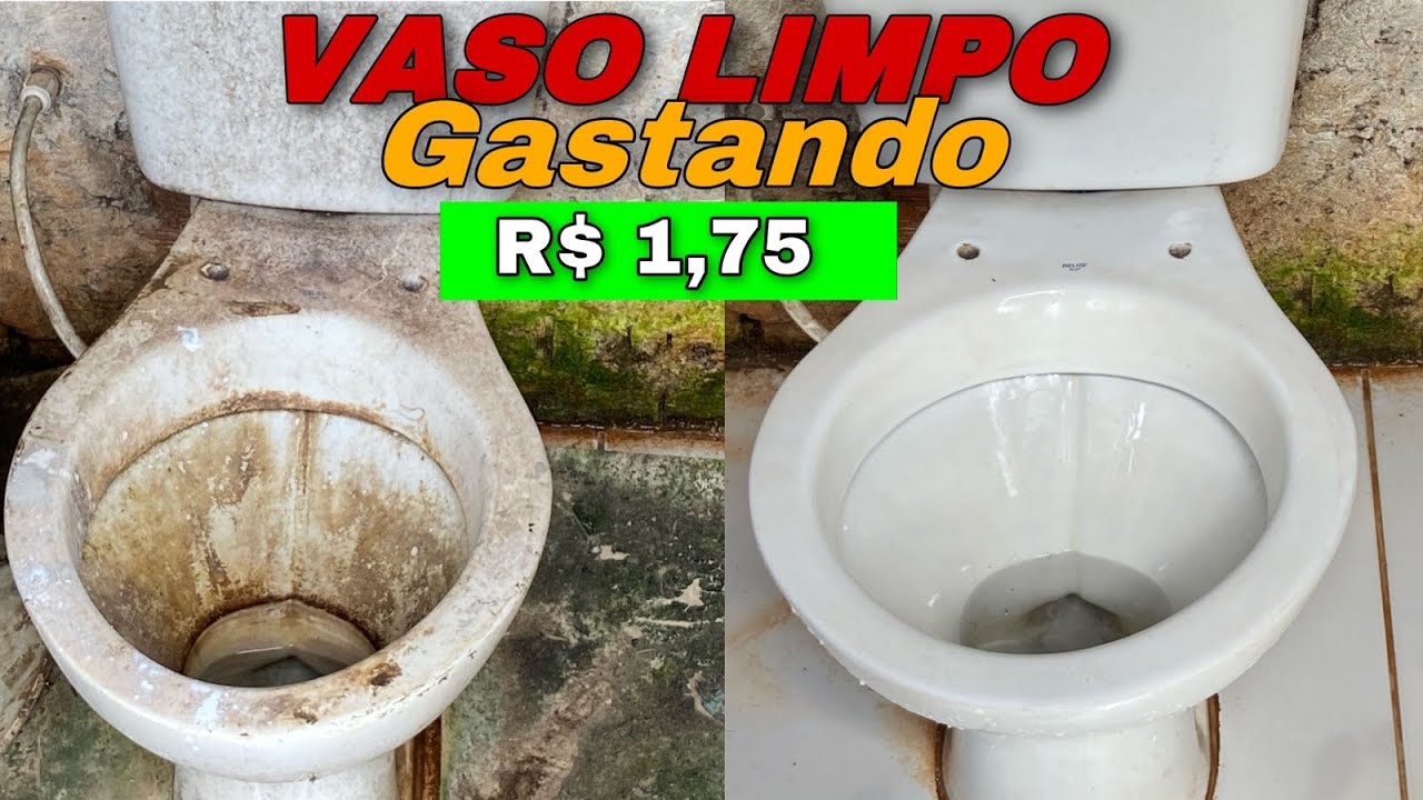 Como Limpar Vaso Sanitário Sem Produto Químico, Com menos de 2 Reais