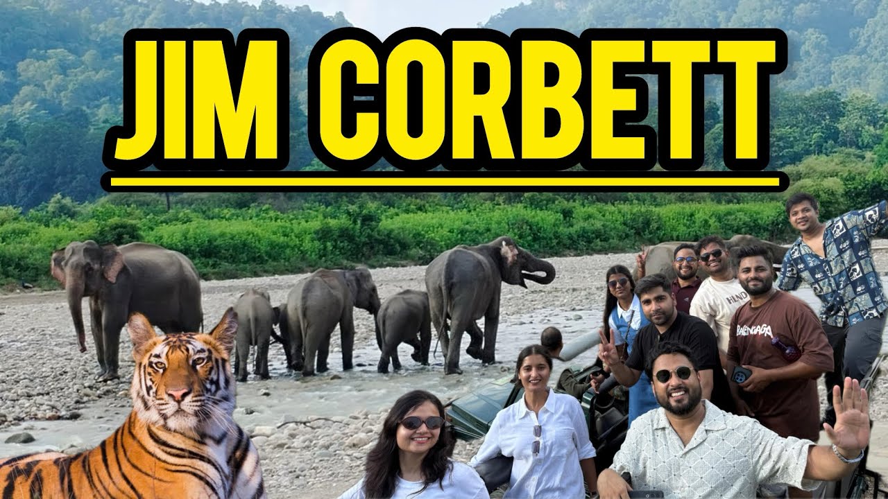 “Testbook Faculty Trip to Jim Corbett National Park | UGC NET Teachers’ Adventure Vlog”