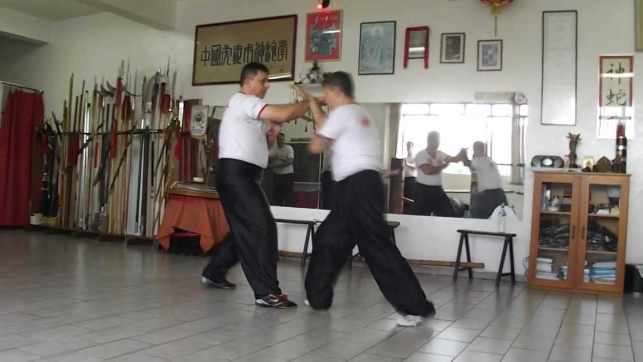 Wushu Tradicional - Associação de Kung Fu Tradicional da Família Hu - scholskungfu.com.br