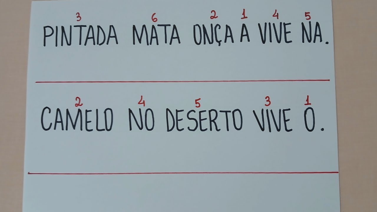 Lendo e Escrevendo - Formação de frases - Aprendendo a Ler e Escrever - Alfabetização - Leitura -EJA