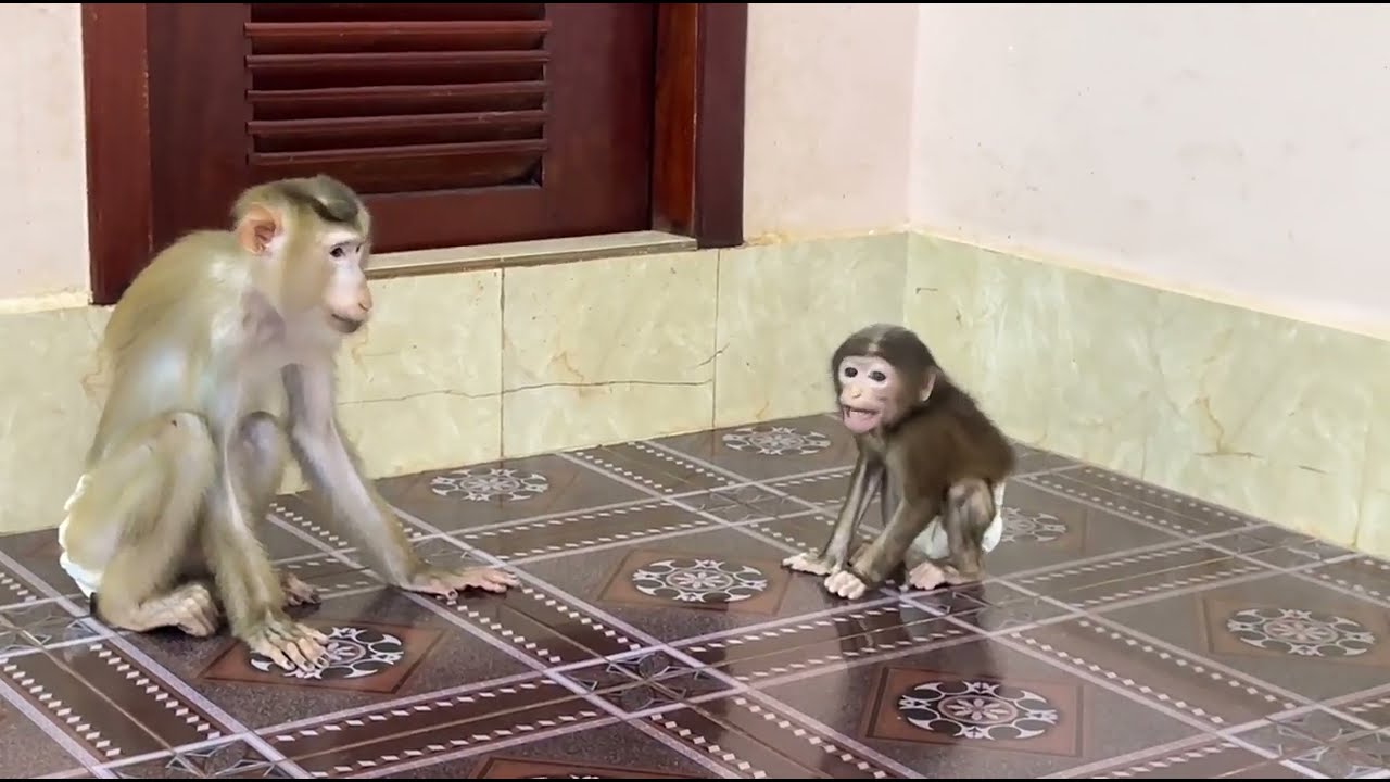 Brother Sovan want play and take Kobie to mom .