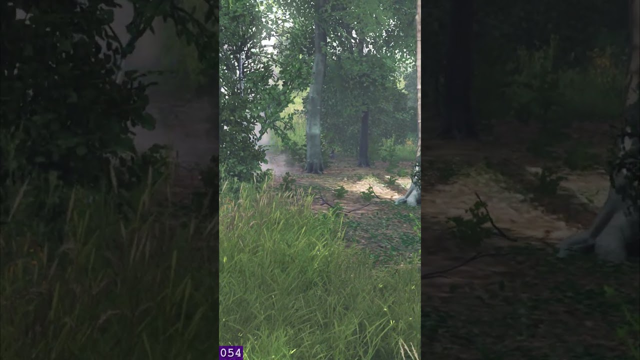 DAYZ TIP 💡: Grenade Death Mechanics #dayz