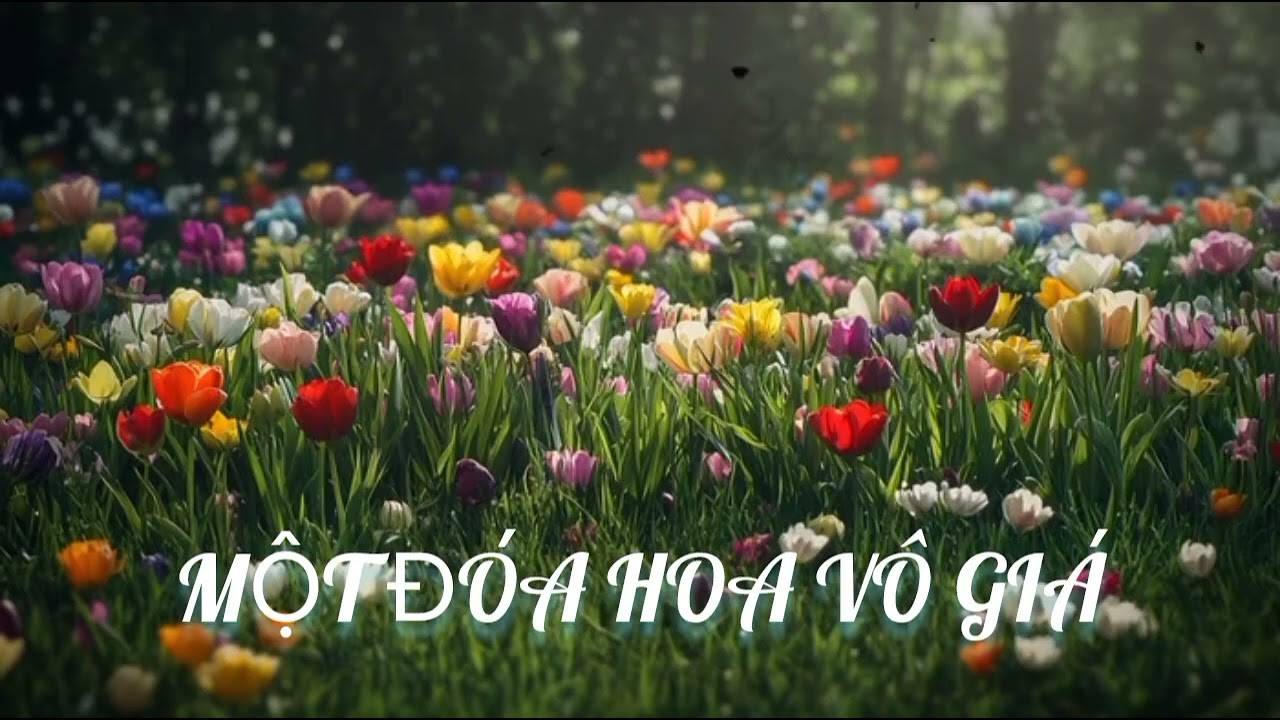 Một đóa hoa vô giá | Dành tặng ngày quốc tế phụ nữ 8/3 | BLACK LION OFFICIAL | MUSICS #xuhướng 