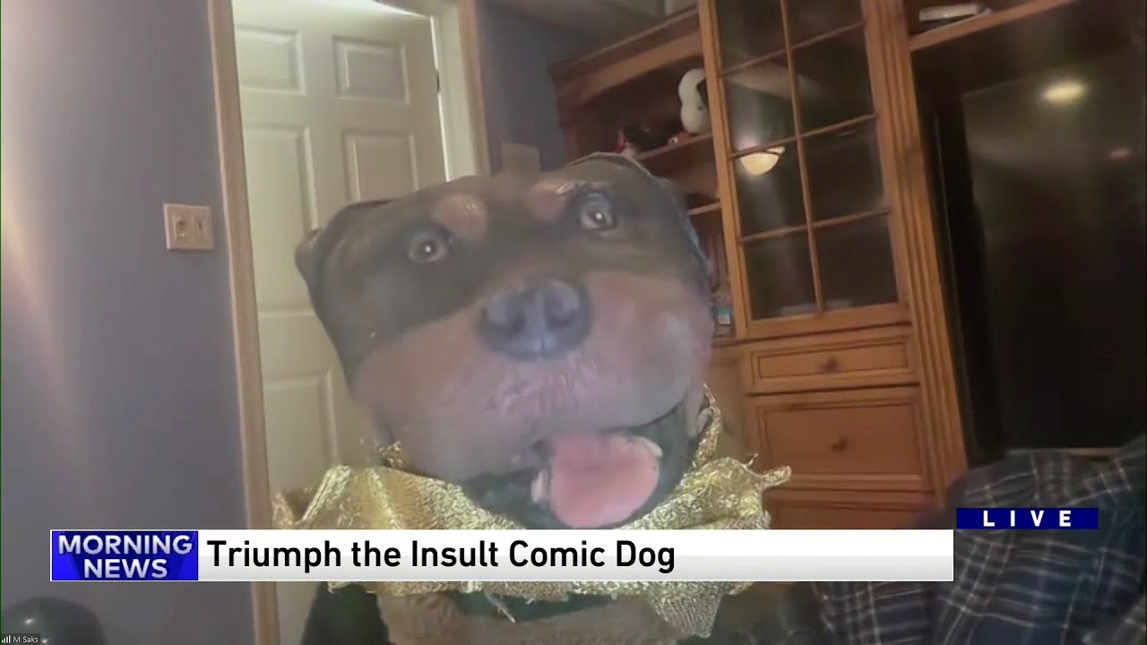 Triumph the Insult Comic Dog roasts the WGN Morning News