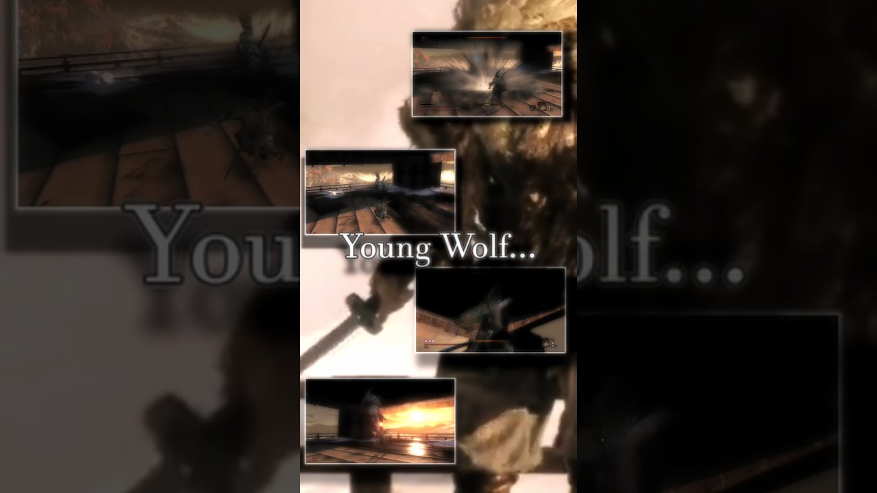 The ones who taught Sekiro... #sekiroshadowsdietwice #sekiro #fromsoftware  #gaming #anime