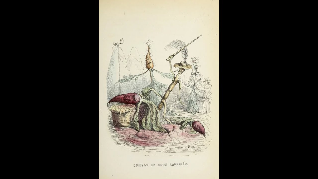 Global0014. Freedom from the New World: the invention of beet sugar