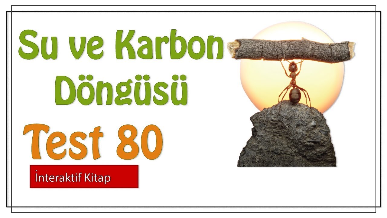 Test 80 #sayfa179