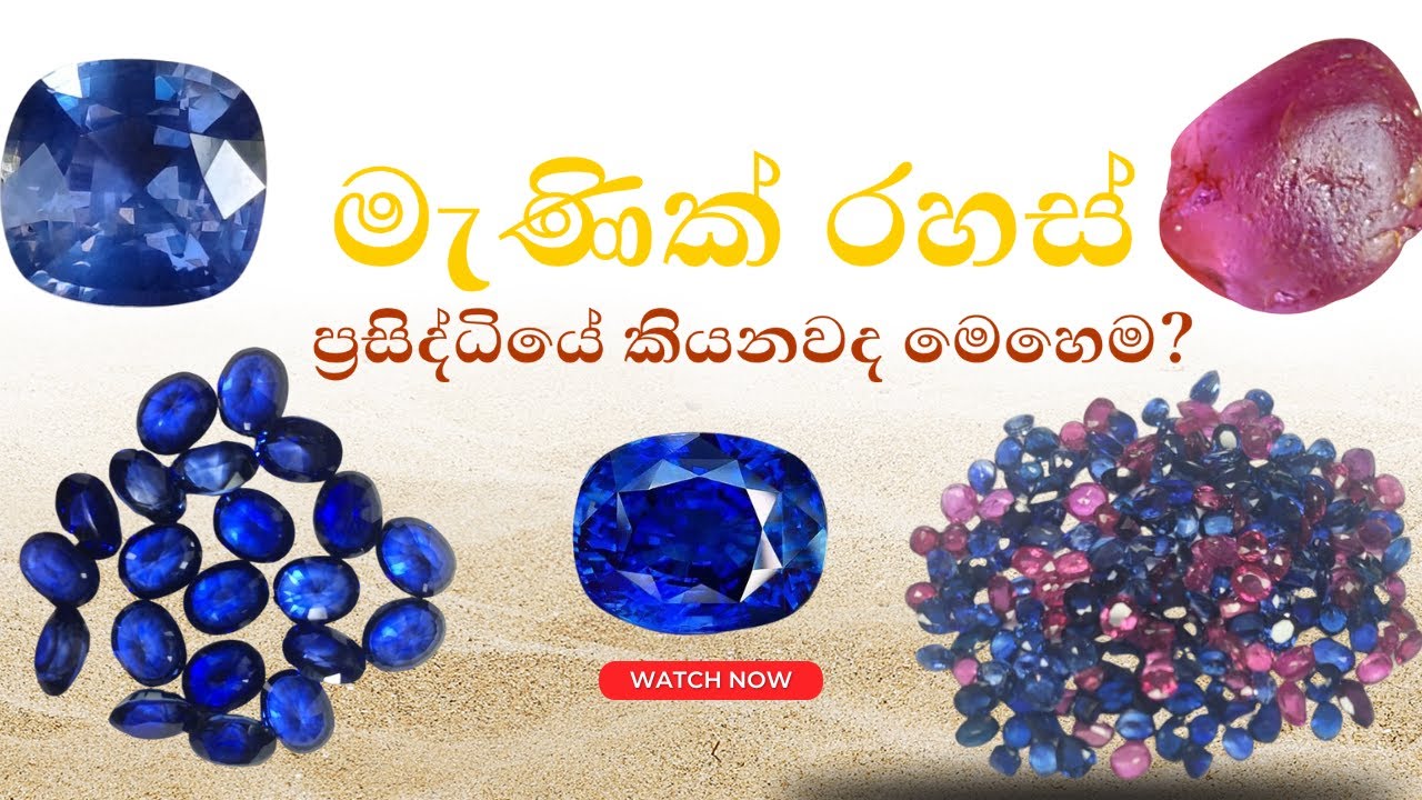 Gem Business එකට එන්න කලින් අපි අනාවරණය කරන මේ වැදගත් කරුණු ටික පිළිපදින්න