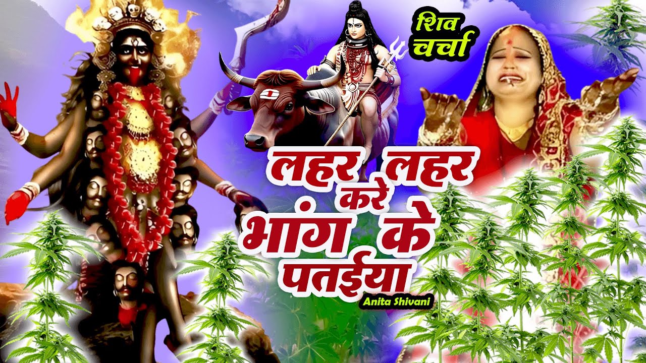 #VIDEO #New | लहर लहर करे भांग के पतईया - शिव चर्चा कथा गीत | Anita Shivani #shivcharcha Katha Geet.