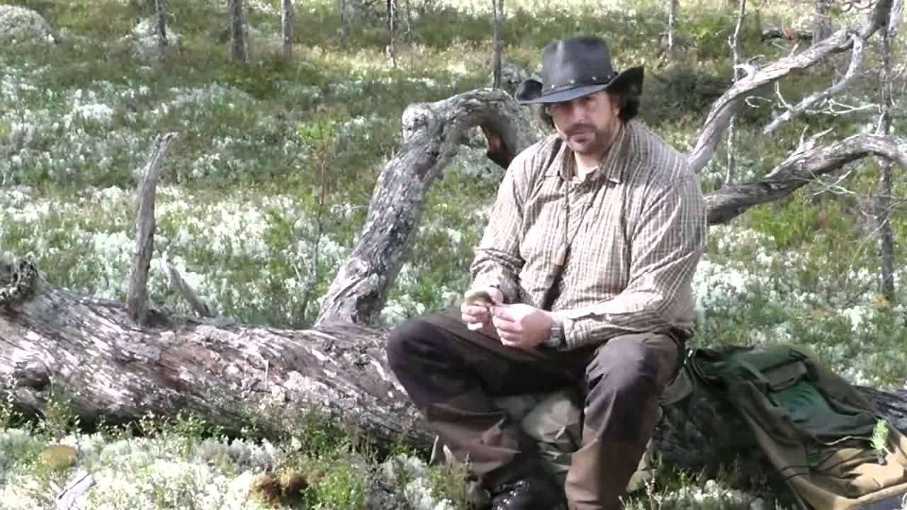 Lichens For Survival