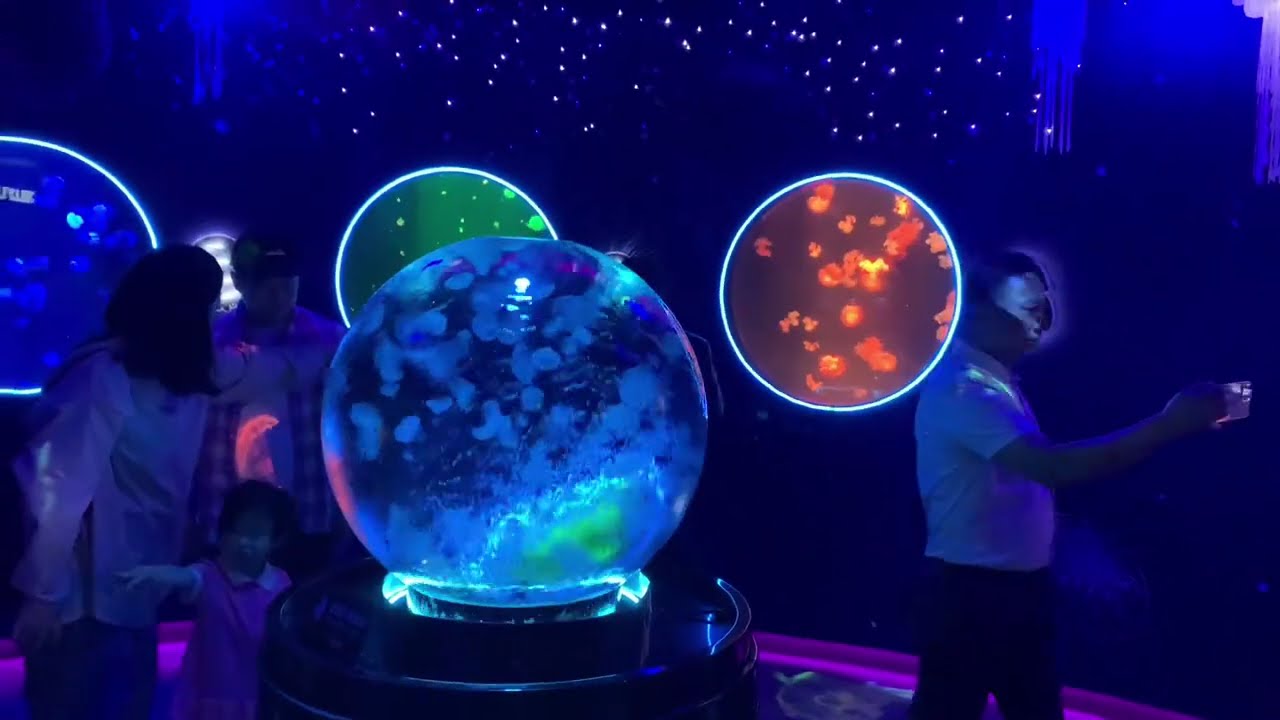 Sea Life Busan Korea