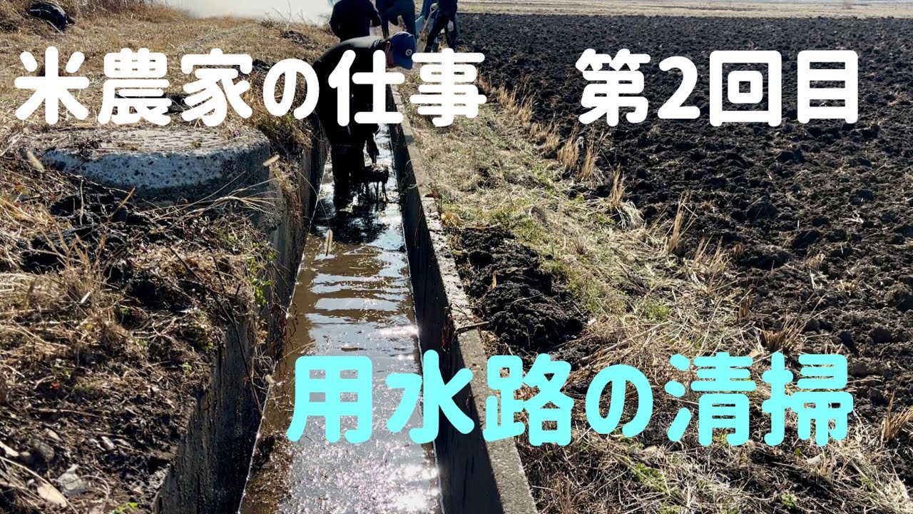米農家日記　第2回目　用水路の清掃
