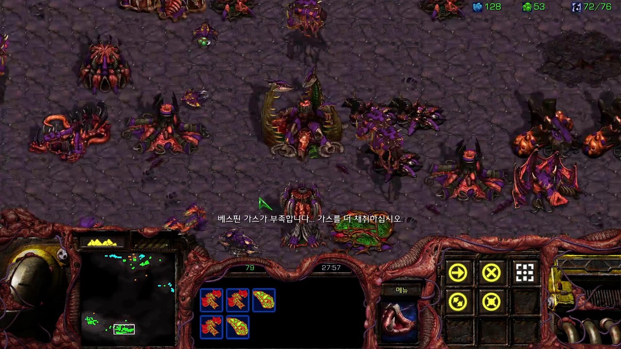 sc1 캠페인