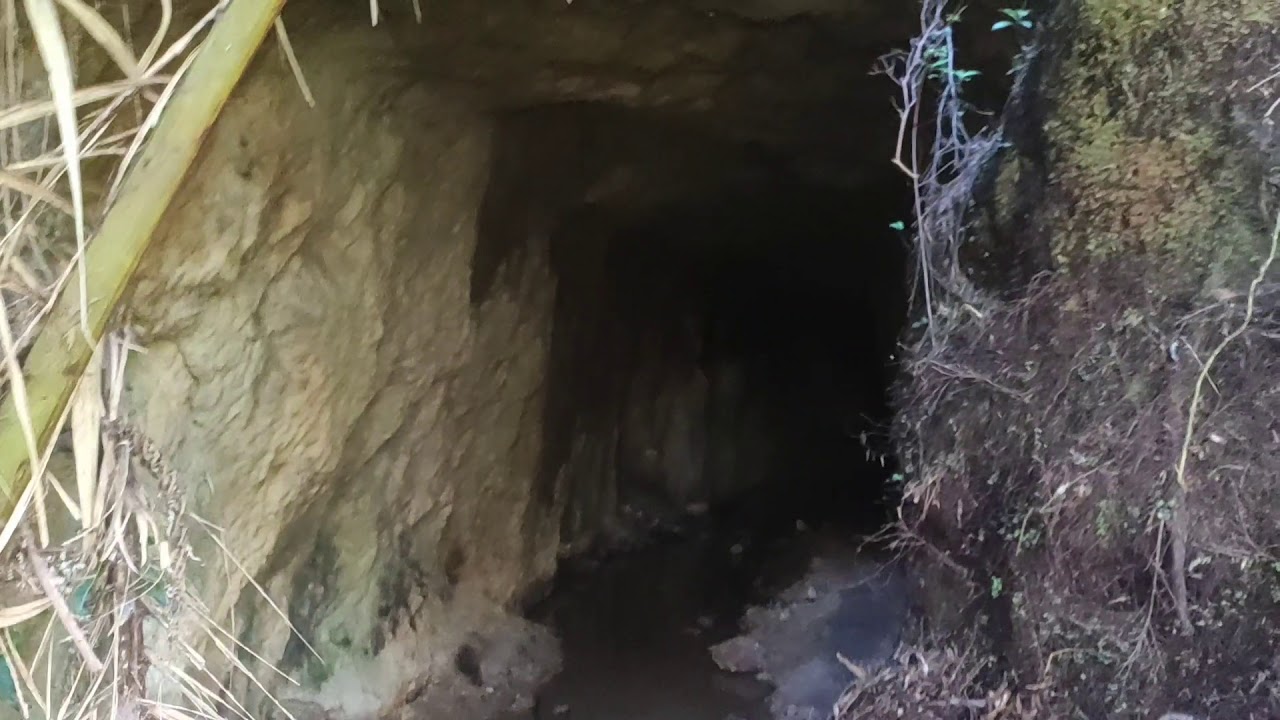 Te Aroha Mountain Gold Mining/ Walking Tracks #Newzealand