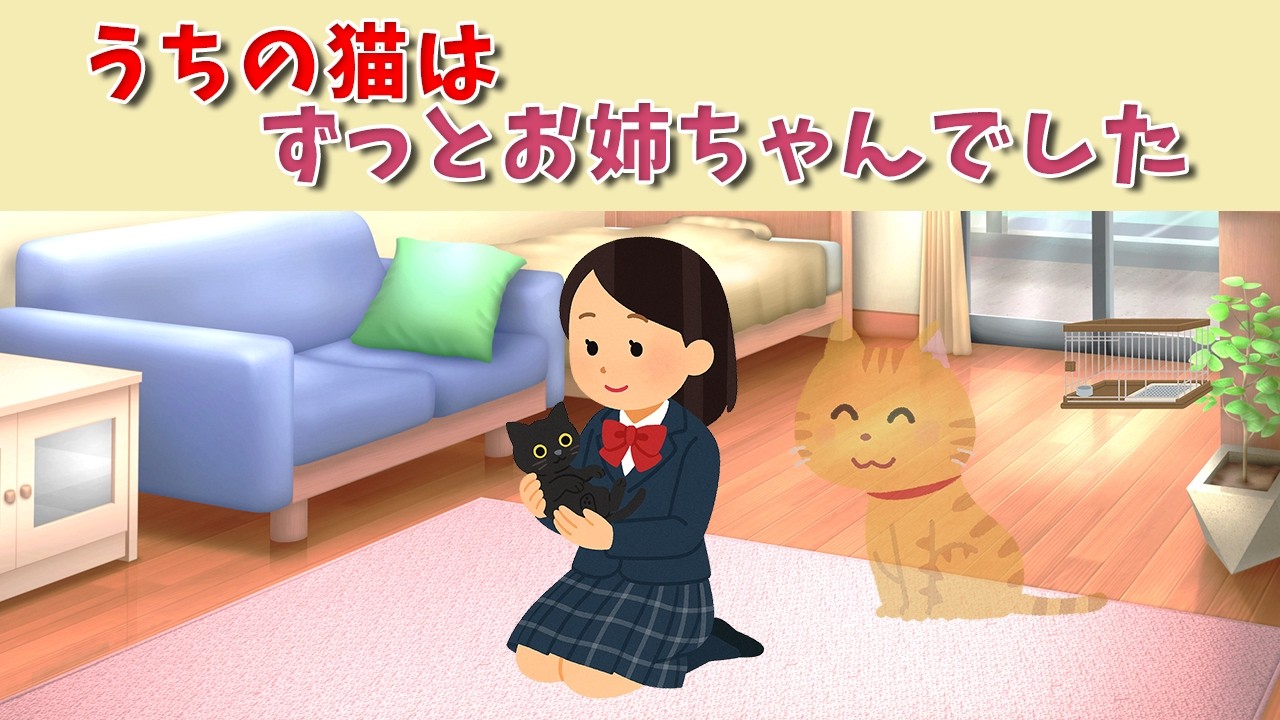 猫のお姉ちゃんと黒猫の奇跡 #猫のお姉ちゃん #保護猫 #感動ストーリー
