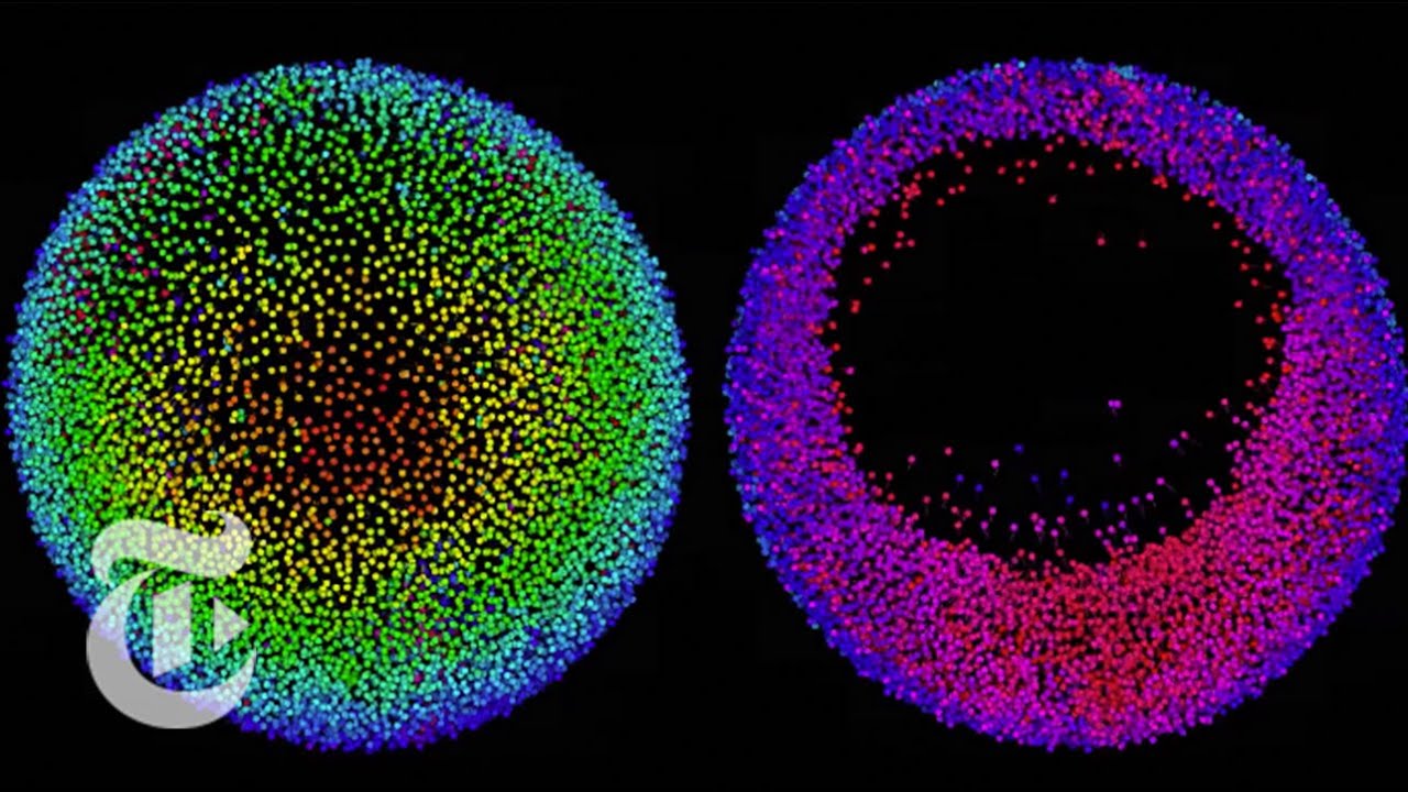 How an Embryo Grows | ScienceTake | The New York Times