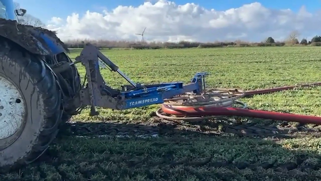 Tramspread Wagtail hose humper at work