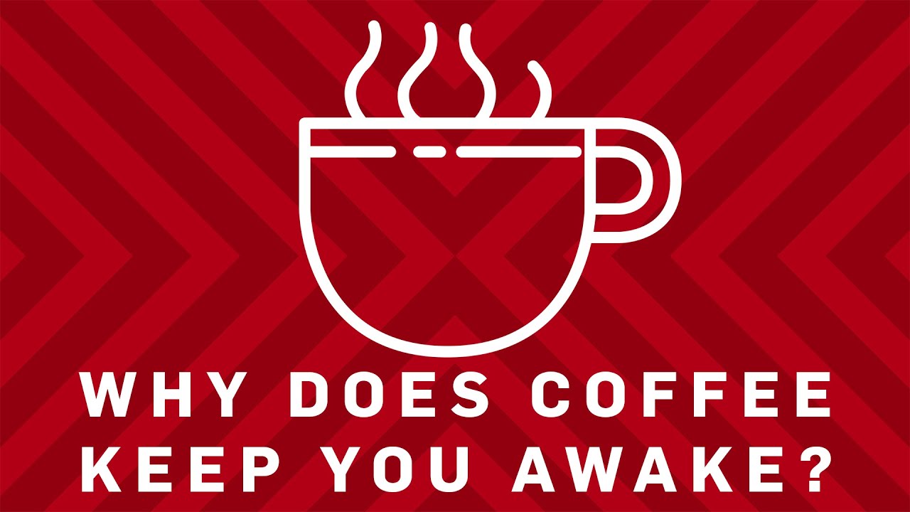 Why Does Coffee Keep You Awake? | Earth Science