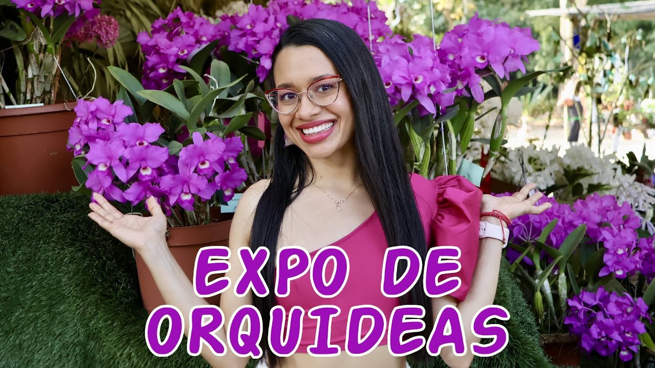 Las Orquídeas más lindas de Costa Rica │Candy Bu