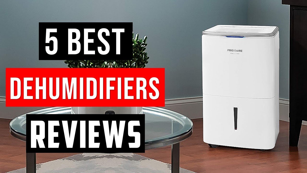 ✅Top 5 Best Dehumidifier In 2025 With Buying Guide