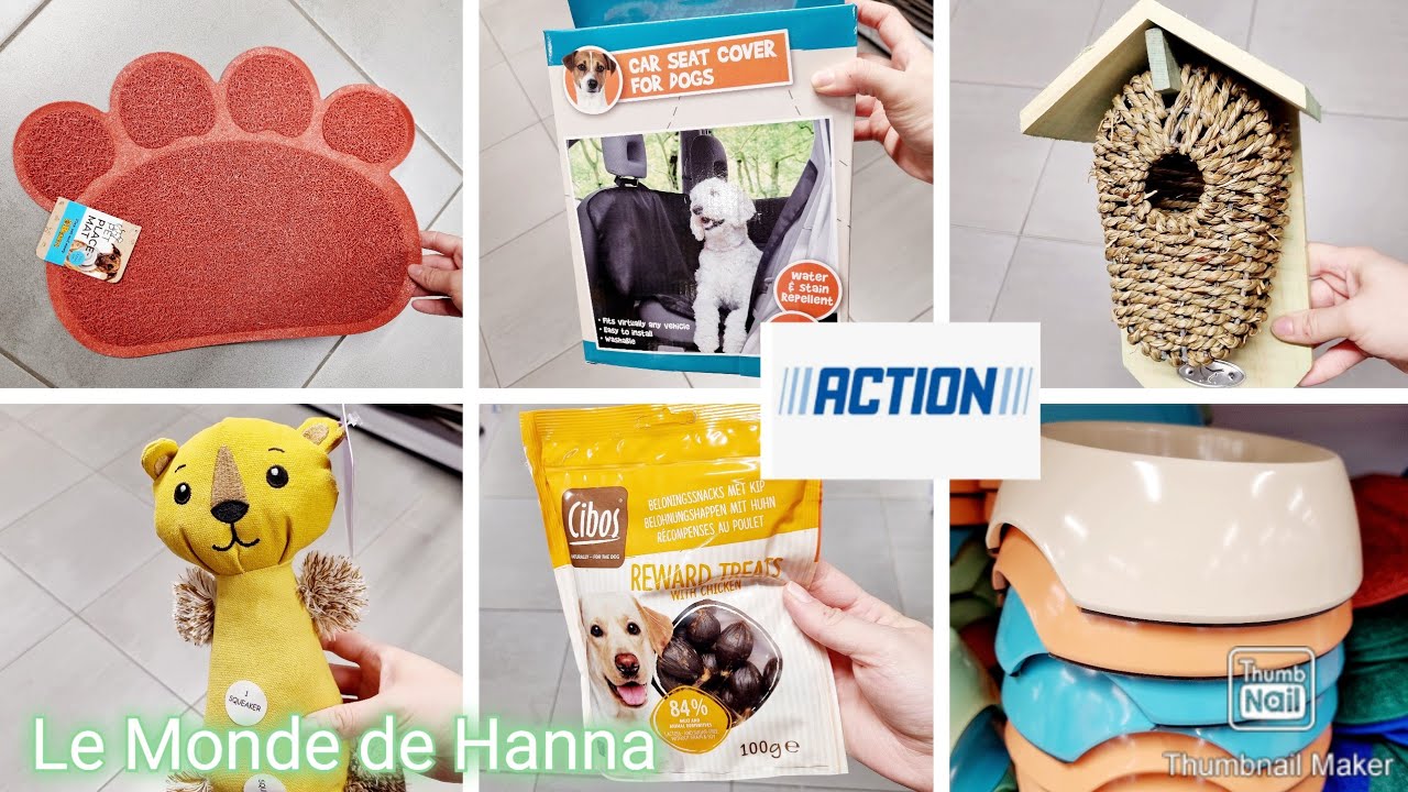 ACTION ARRIVAGE 02-02 ANIMAUX ET ACCESSOIRES CHIEN CHAT OISEAUX