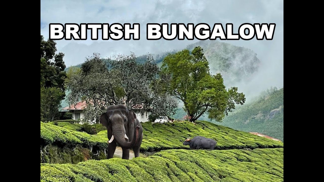 Arivikad British Bungalow ~4k